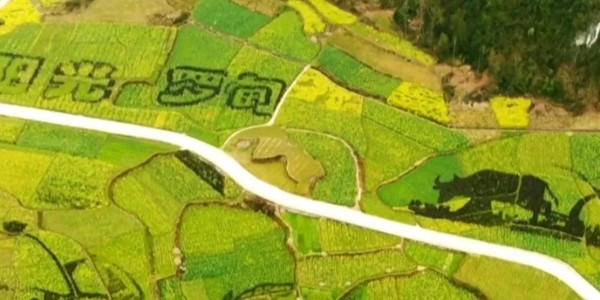 土地的涅槃｜全域土地綜合整治為何爆火？設(shè)計院如何搶占風口？